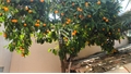 Image du bien UBI438168857